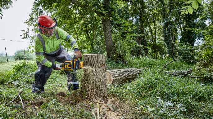 Detalj vodilice i lanca DeWALT DCMCS574N pile